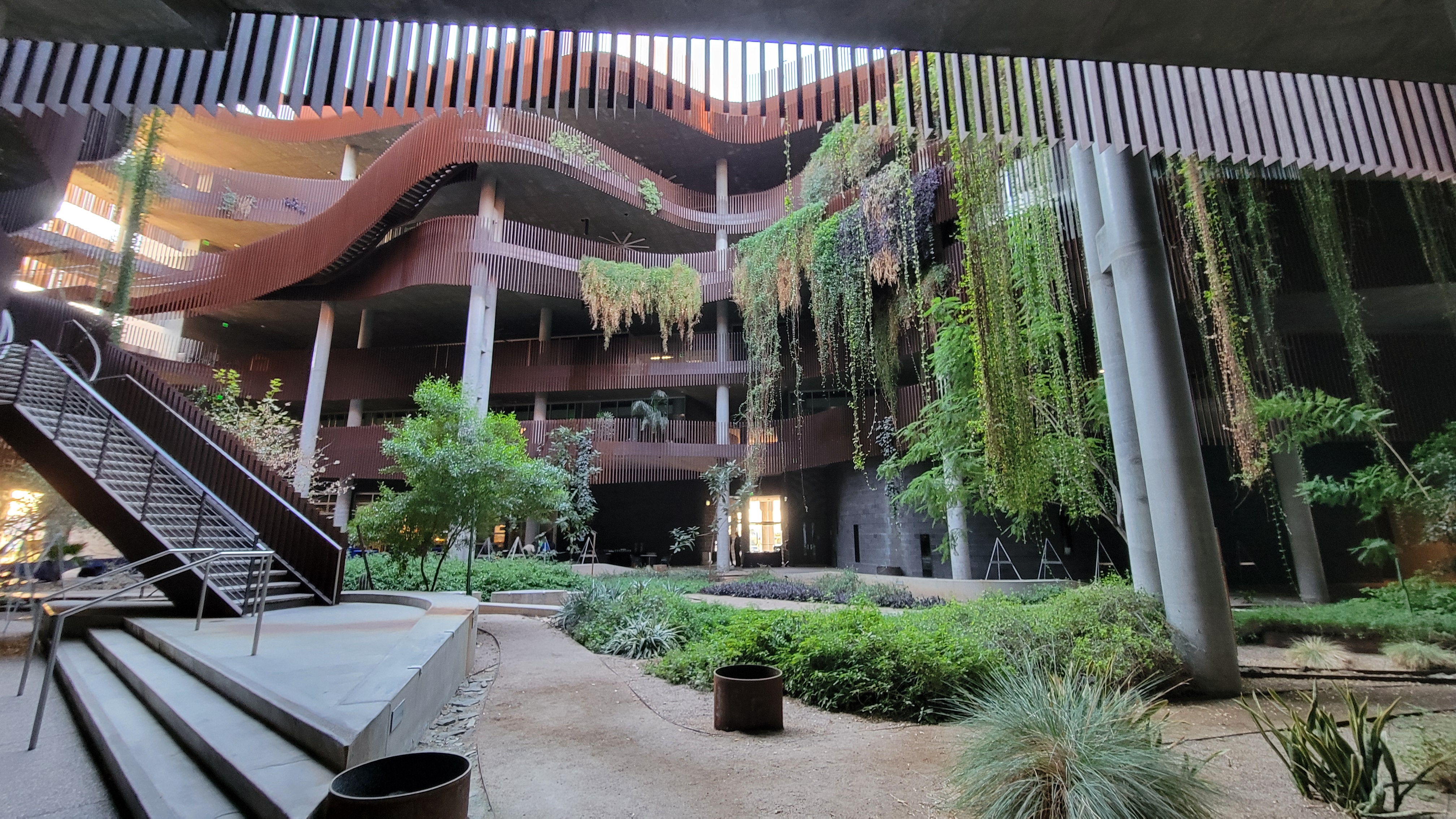 Courtyard with hanging greenery at the University of Arizona, Tucson